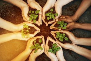 7 hands holding plants in a circle